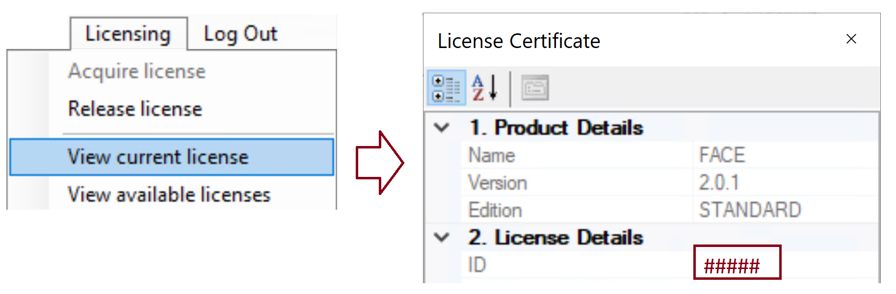 FACE - Display licensing dialog.png (254 KB)